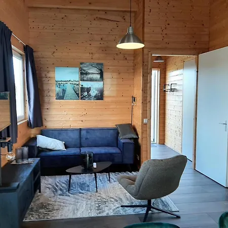 With Covered Terrace And Pool Someren-Heide